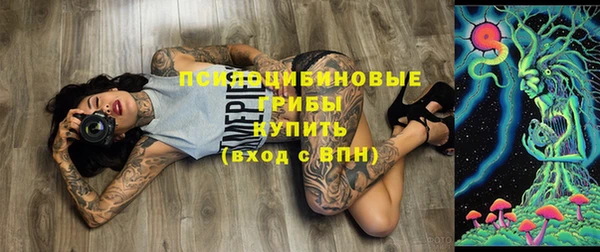 гидропоника Приозерск