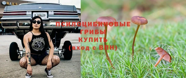 гидропоника Приозерск