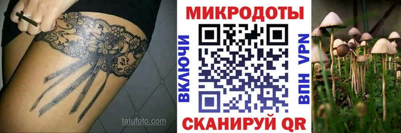 MEGA рабочий сайт  купить наркотик  Солигалич  Галлюциногенные грибы MAGIC MUSHROOMS 